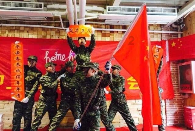花猫对主子忠诚吗?-专业问答交流平台